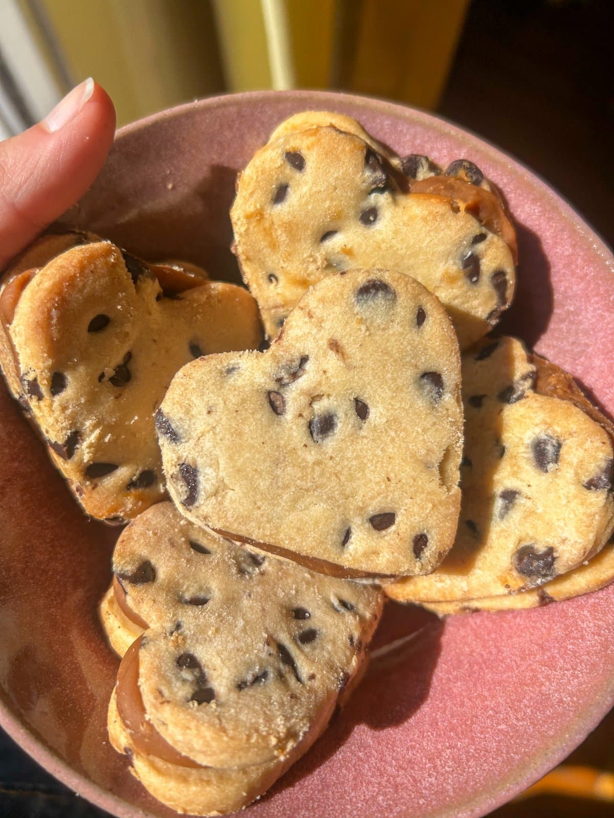 Alfacookies Sagitario ♐ - Imagen 1